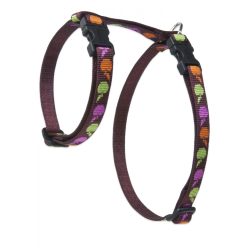 LUPINE H-hám (Candy Apple  1/2" 31-50 cm )