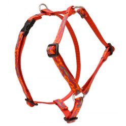 Lupine Roman hám (Go Go Gecko 1/2"  31-50 cm)