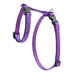 LUPINE H-hám (Jelly Roll 1/2" 31-50 cm )