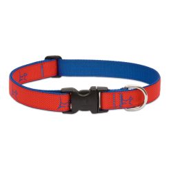 LUPINE nyakörv (CLUB Derby Red 1" 41-71 cm)