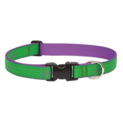 LUPINE nyakörv (CLUB Augusta Green 1" 41-71 cm)