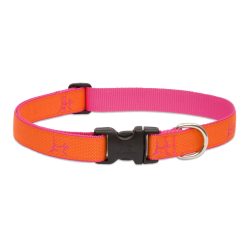 LUPINE nyakörv (CLUB Sunset Orange 1" 41-71 cm)