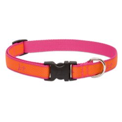 LUPINE nyakörv (CLUB Sunset Orange 3/4" 23-35 cm)