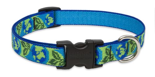 LUPINE nyakörv (Earth Day 3/4" 34-55 cm)