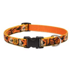 LUPINE NYAKÖRV (Spooky 3/4" 23-35 cm)