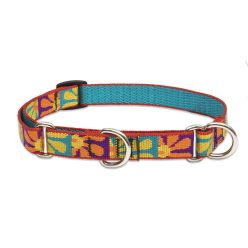 Lupine Félfojtó nyakörv (Crazy Daisy 3/4" 36-51 cm)