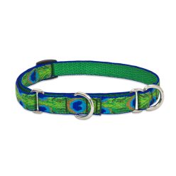   Lupine Félfojtó nyakörv (Tail Feathers 3/4" 36-51 cm)