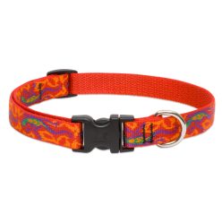 LUPINE NYAKÖRV (Go Go Gecko 3/4" 34-55 cm)
