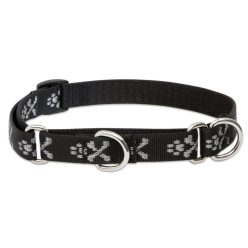 Lupine Félfojtó nyakörv (Bling Bonz 3/4" 36-51 cm)