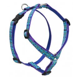 Lupine Roman hám (Rain Song 3/4"  36-60 cm)