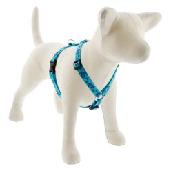 Lupine Roman hám (Turtle Reef 3/4"  36-60 cm)