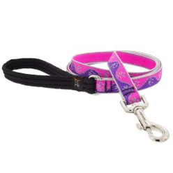 Lupine Hundehalsband Verstellbar 38–63,5 Cm – Gewebtes Nylon, Kausicher – Mit Leinen-Match
