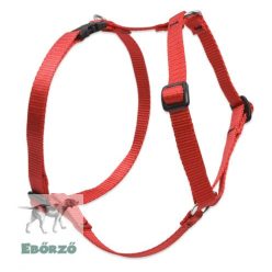 Lupine Roman hám (Piros 1/2"  31-50 cm)