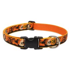 LUPINE nyakörv (Spooky 1" 31-50 cm)