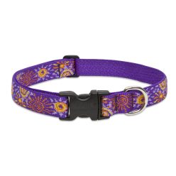 Lupine nyakörv (Sunny Days 1" 31-50 cm)