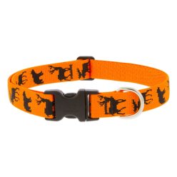 LUPINE nyakörv (Big Game 1" 31-50 cm)