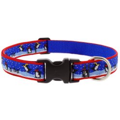 LUPINE nyakörv (Snow Dance 1" 41-71 cm)