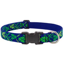 LUPINE nyakörv (Lucky 1" 31-50 cm)