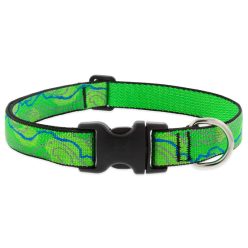 LUPINE nyakörv (Intervale 1" 41-71 cm)