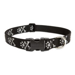 LUPINE nyakörv (Bling Bonz 1" 41-71 cm)
