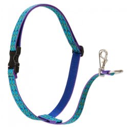 LUPINE NO PULL (Rain Song 1" 60-96 cm)