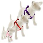 Beléptető típusú kutyahám