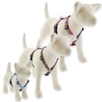 Limitált roman típusú hámok