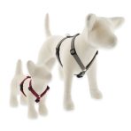 ECO roman típusú hám