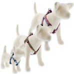 Limitált belépetető hámok