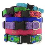 Dog Collars