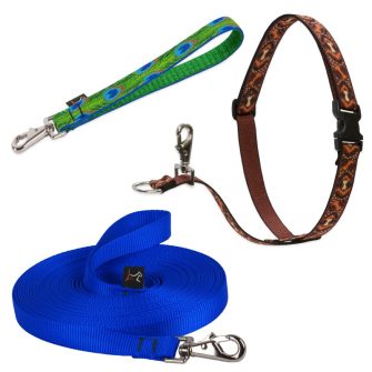 Training Products for Dogs