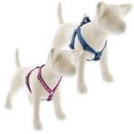 Dog Harnesses
