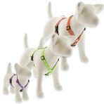 Fényvisszaverő roman hámok